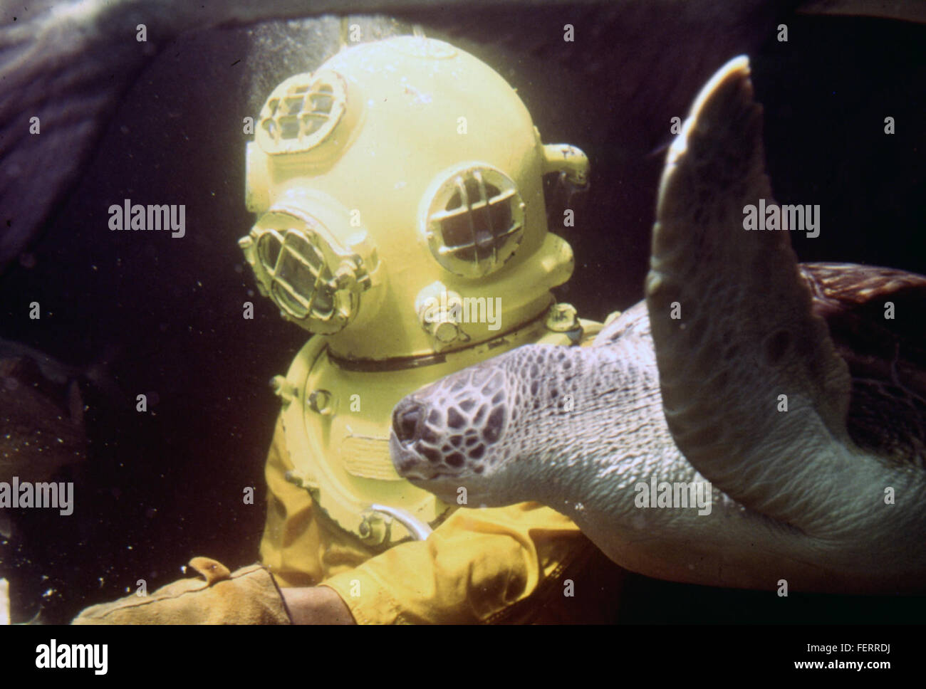 Diver Helmet High Resolution Stock Photography and Images - Alamy