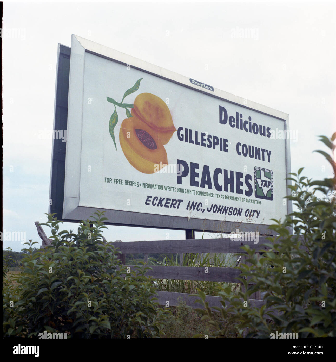 Peach, watermelon and beef billboards Stock Photo