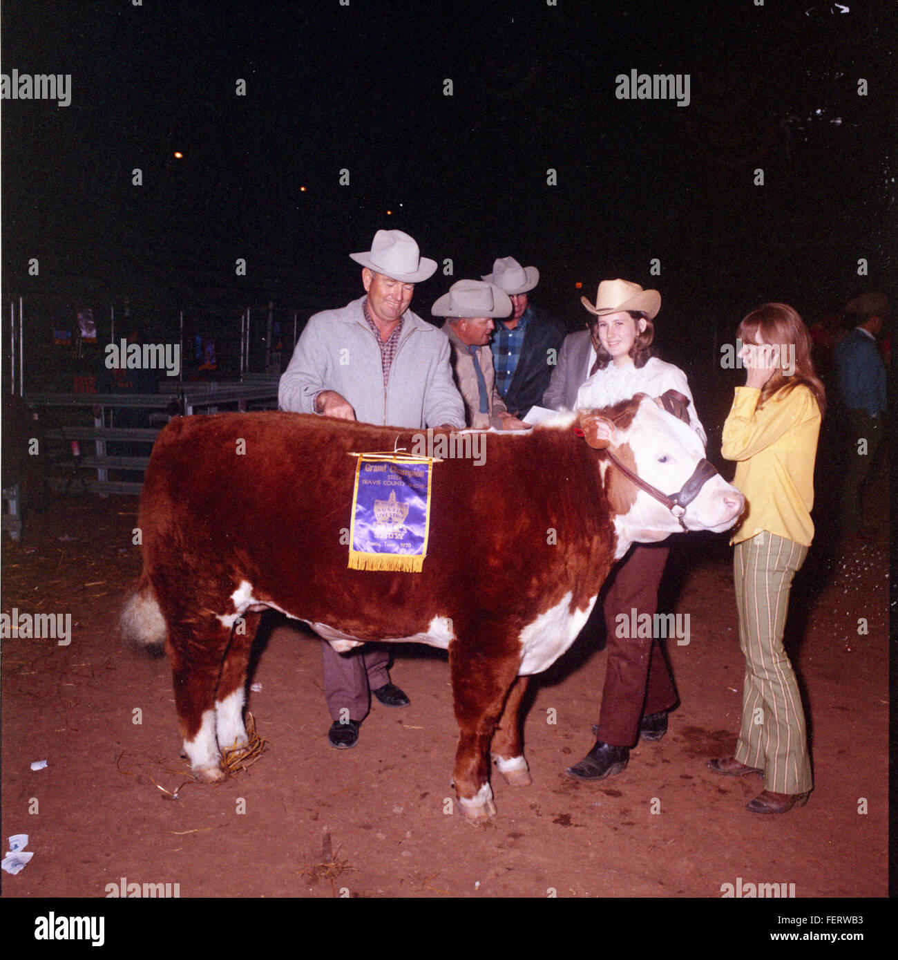 Livestock austin hires stock photography and images Alamy