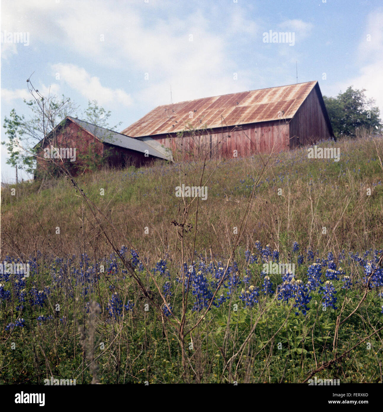 Photograph captures rural landscapes hi-res stock photography and ...