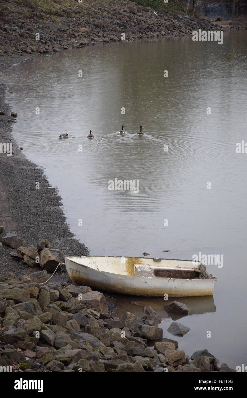 Skiff and geese in river. Stock Photo