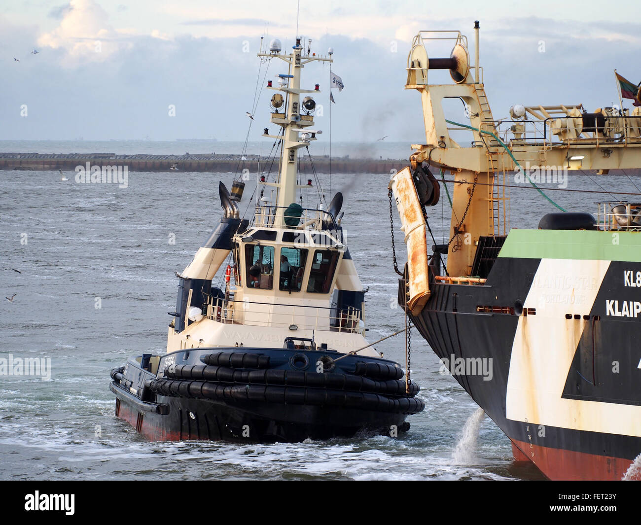 Thetis (tugboat, 2003) Callsign PBKF, IJmuiden, Port of Amsterdam. Stock Photo