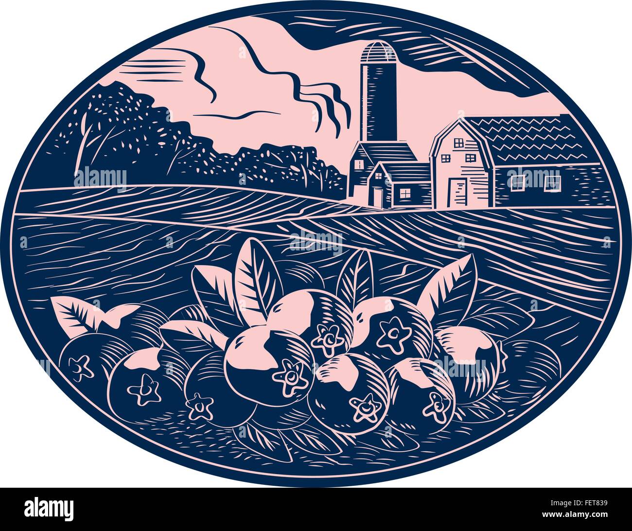 Illustration of a cranberry fruit farm with farmhouse barn and silo in the background done in retro woodcut style. Stock Vector