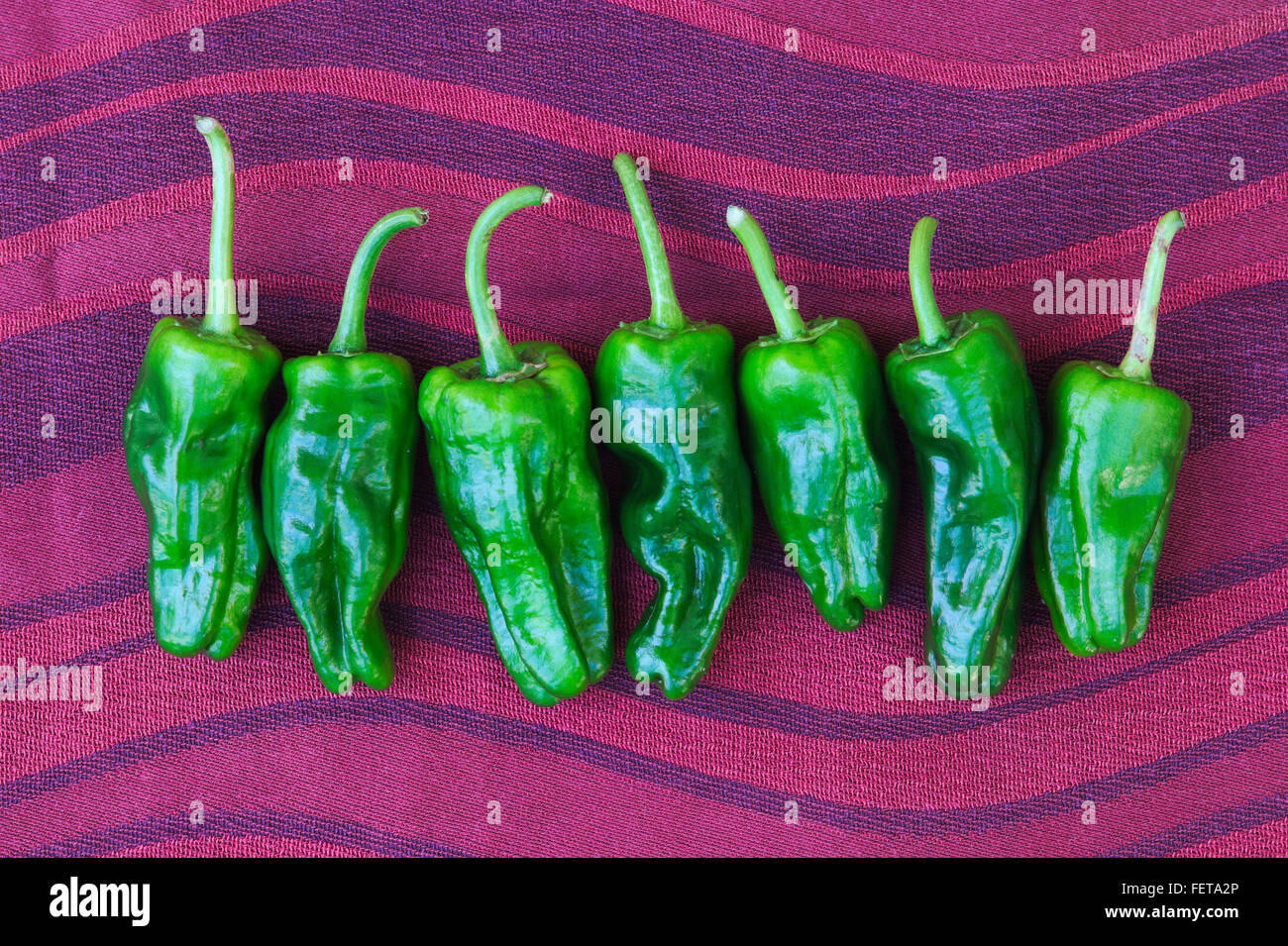 A row of seven mini green sweet chillies lined up on a dark red wavy background. Stock Photo