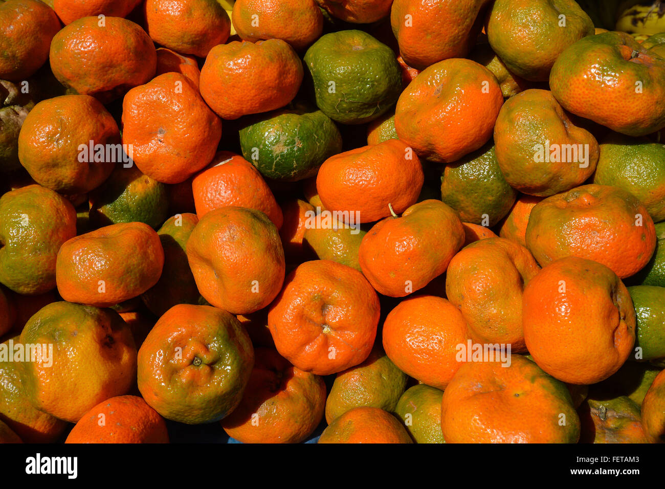 Mandarine oranges (Citrus reticulata), ripe and unripe, Chinchero market, Cusco, Peru Stock Photo