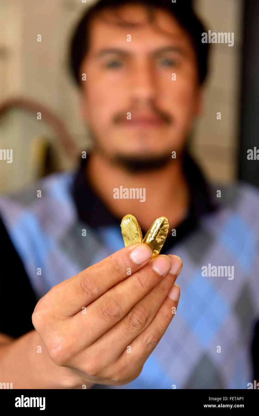 Man holding two pieces of gold in shop, gold mining town of Laberinto, Puerto Maldonado, Madre de Dios, Peru Stock Photo