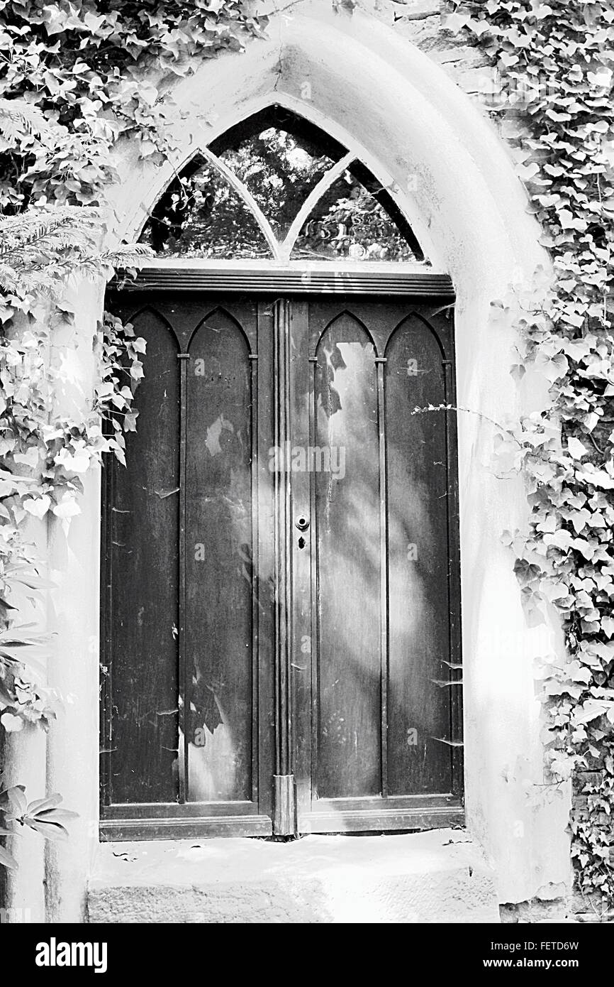 Arched Door Overgrown With Ivy Stock Photo