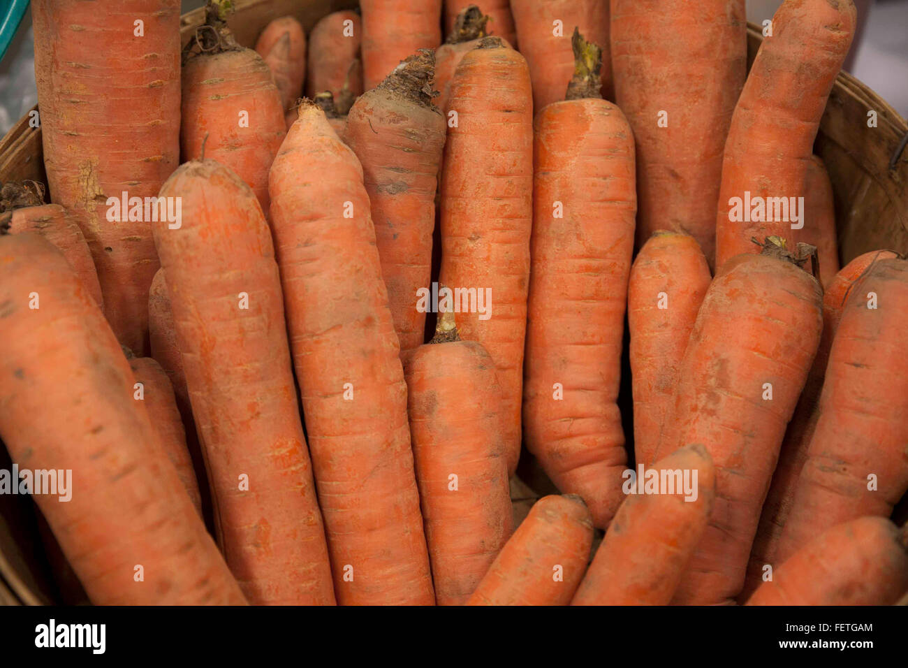 Home grown carrots at an indoor market in winter. Stock Photo