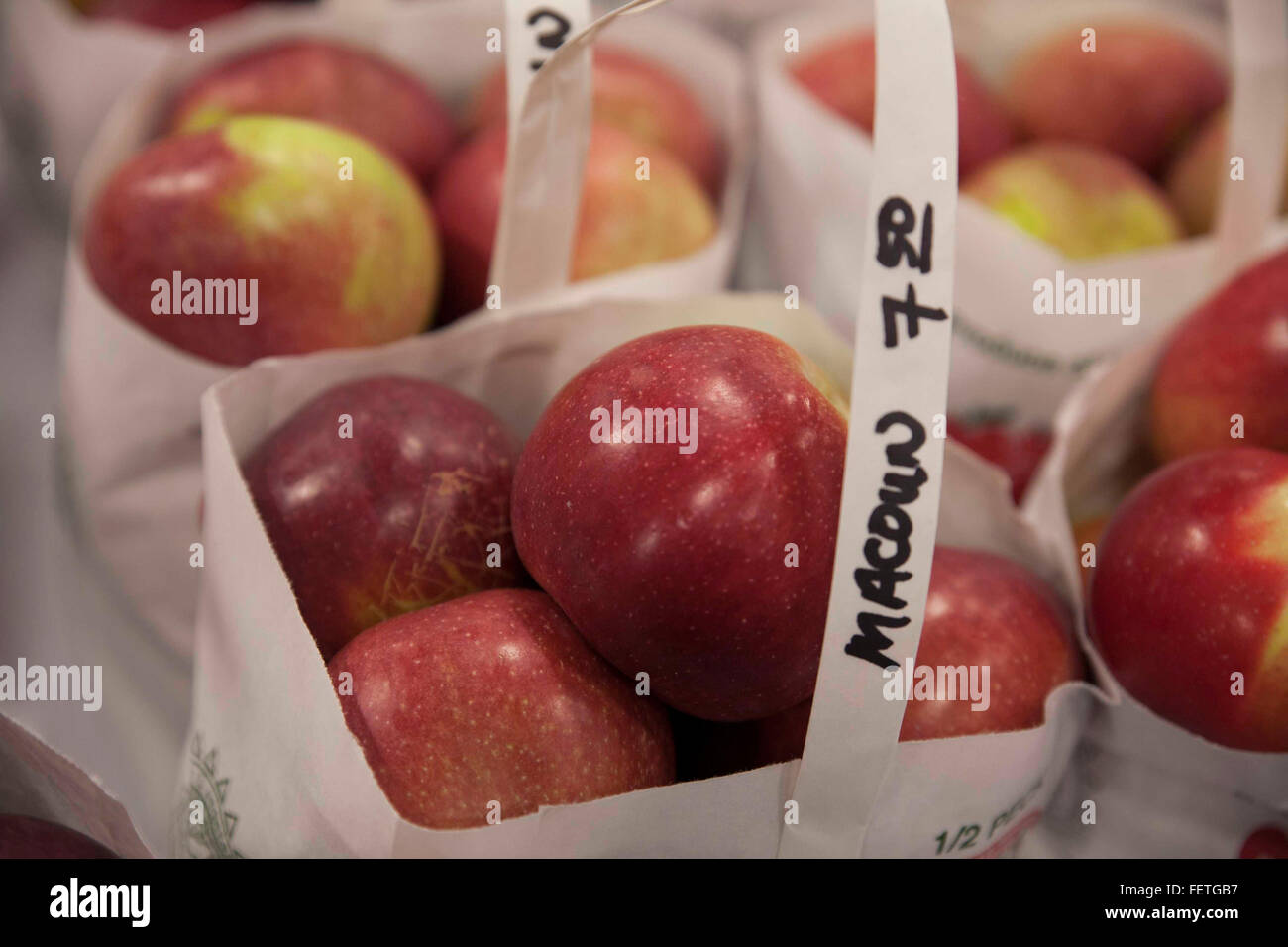 Apples for sale at an indoor market in Williamstown, Massachusetts Stock Photo