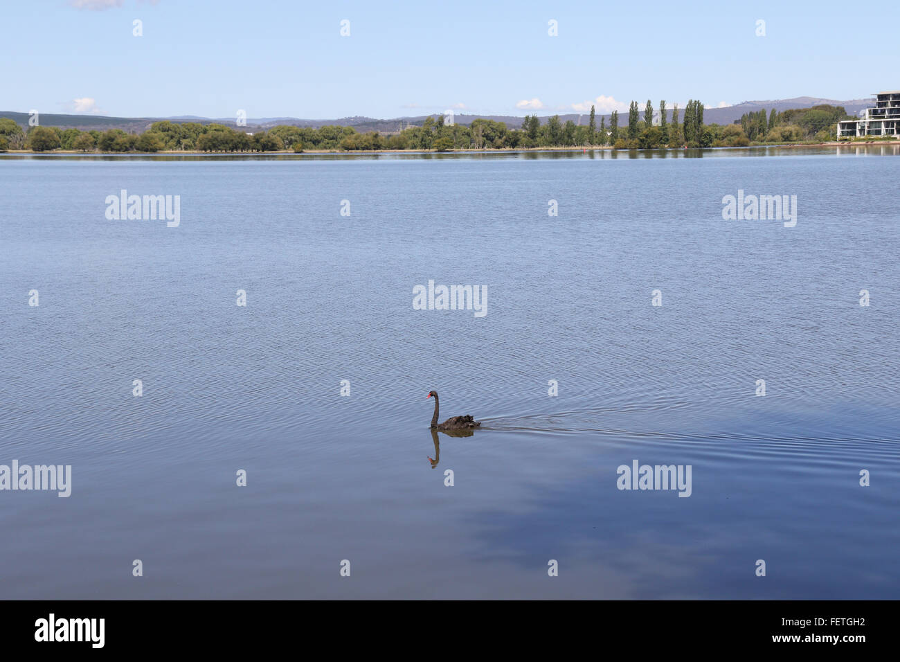 Lake Burley Griffin in Canberra, Australia Stock Photo - Alamy