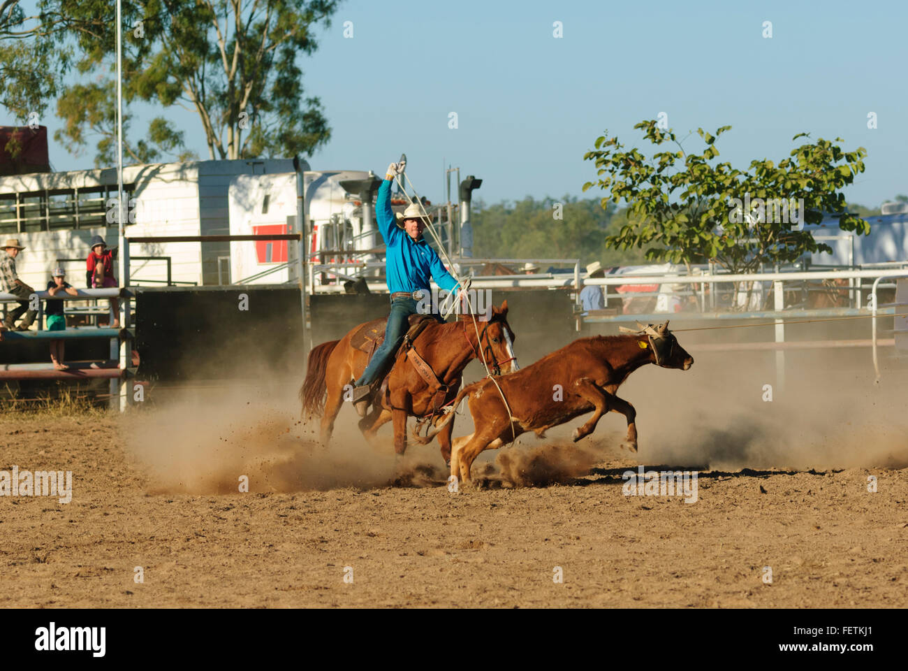 Steer Roping, Collinsville Rodeo, Queensland, Australia Stock Photo