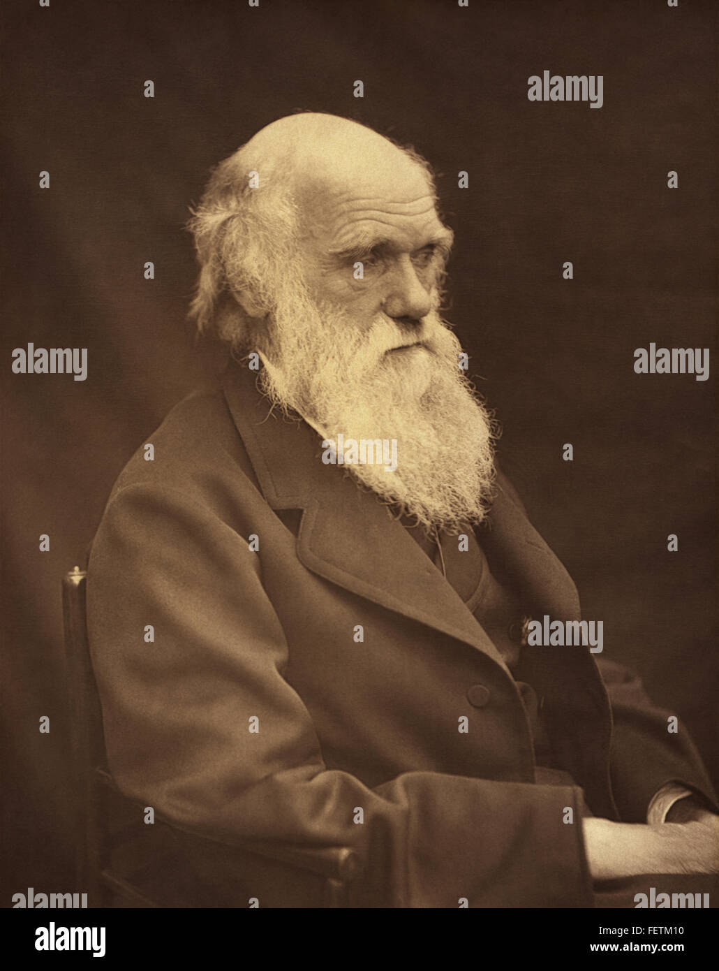 Charles Robert Darwin, evolutionist and author of The Origin of Species, in an 1878 photograph by Leonard Darwin, Charles Darwin's son. Stock Photo