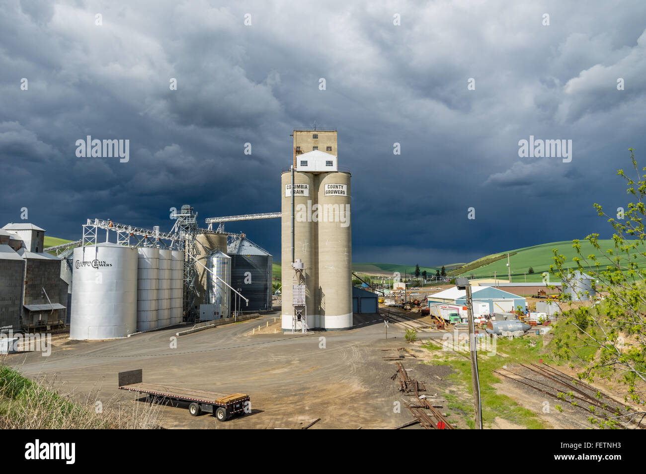 Grain silos and storage facility of Columbia County Grain Growers.  Dayton, Washington, USA Stock Photo