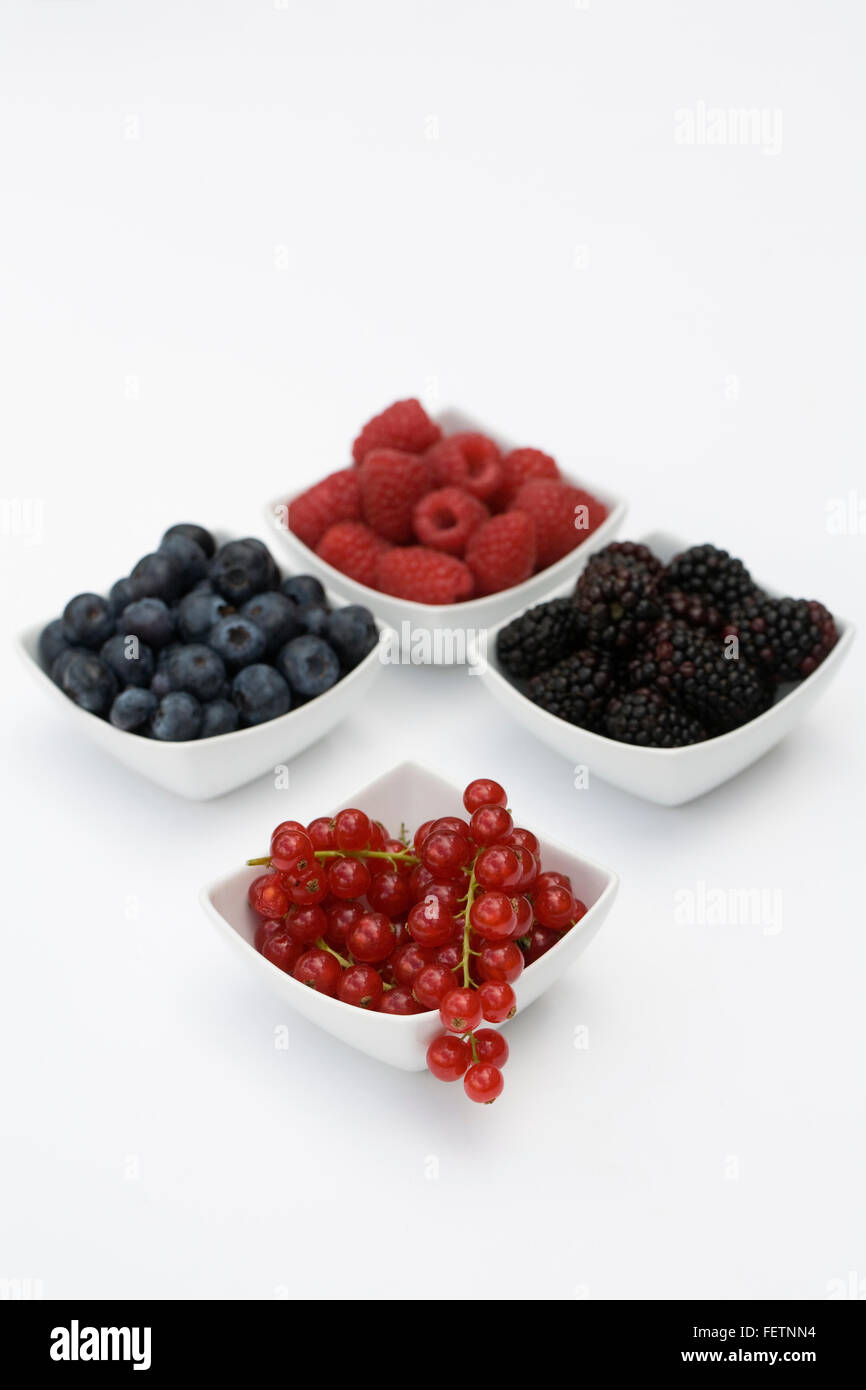 Redcurrants, Blackberries, Raspberries and Blueberries in white bowls on a white background. Stock Photo