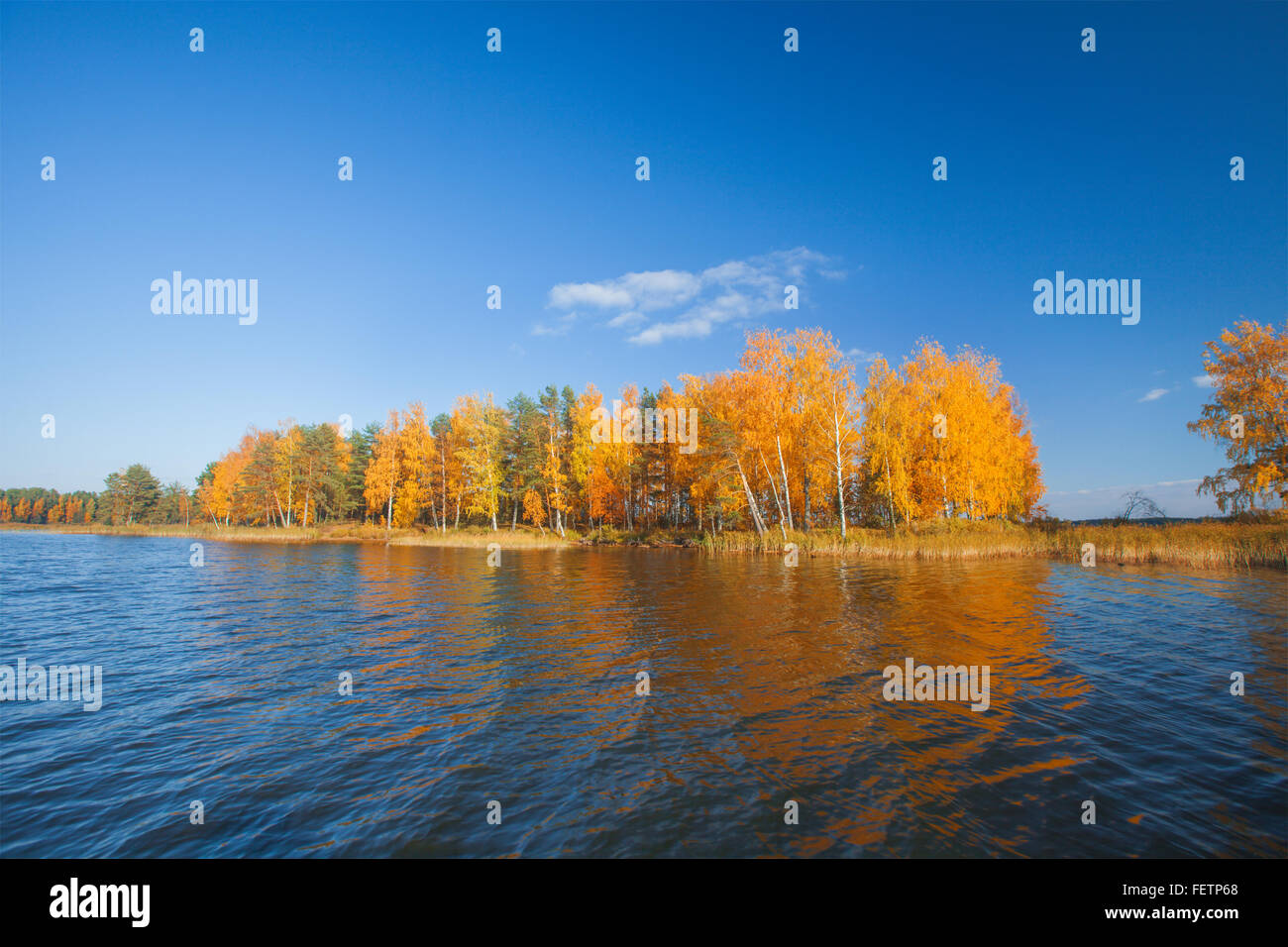 Beautiful autumn birch trees lake hi-res stock photography and images ...