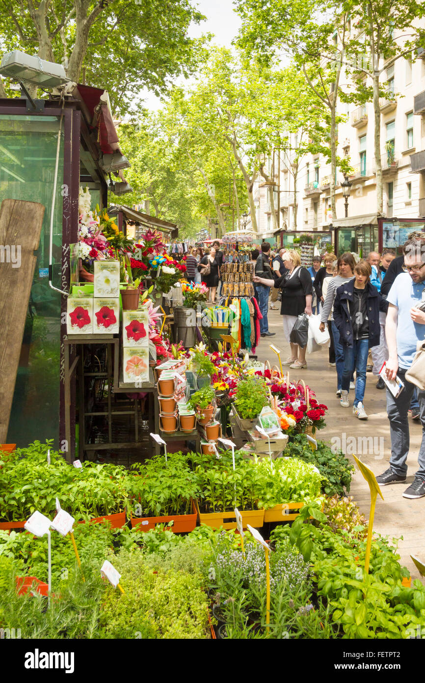 Flower stall on Las Ramblas in Barcelona, Spain, Europe Stock Photo
