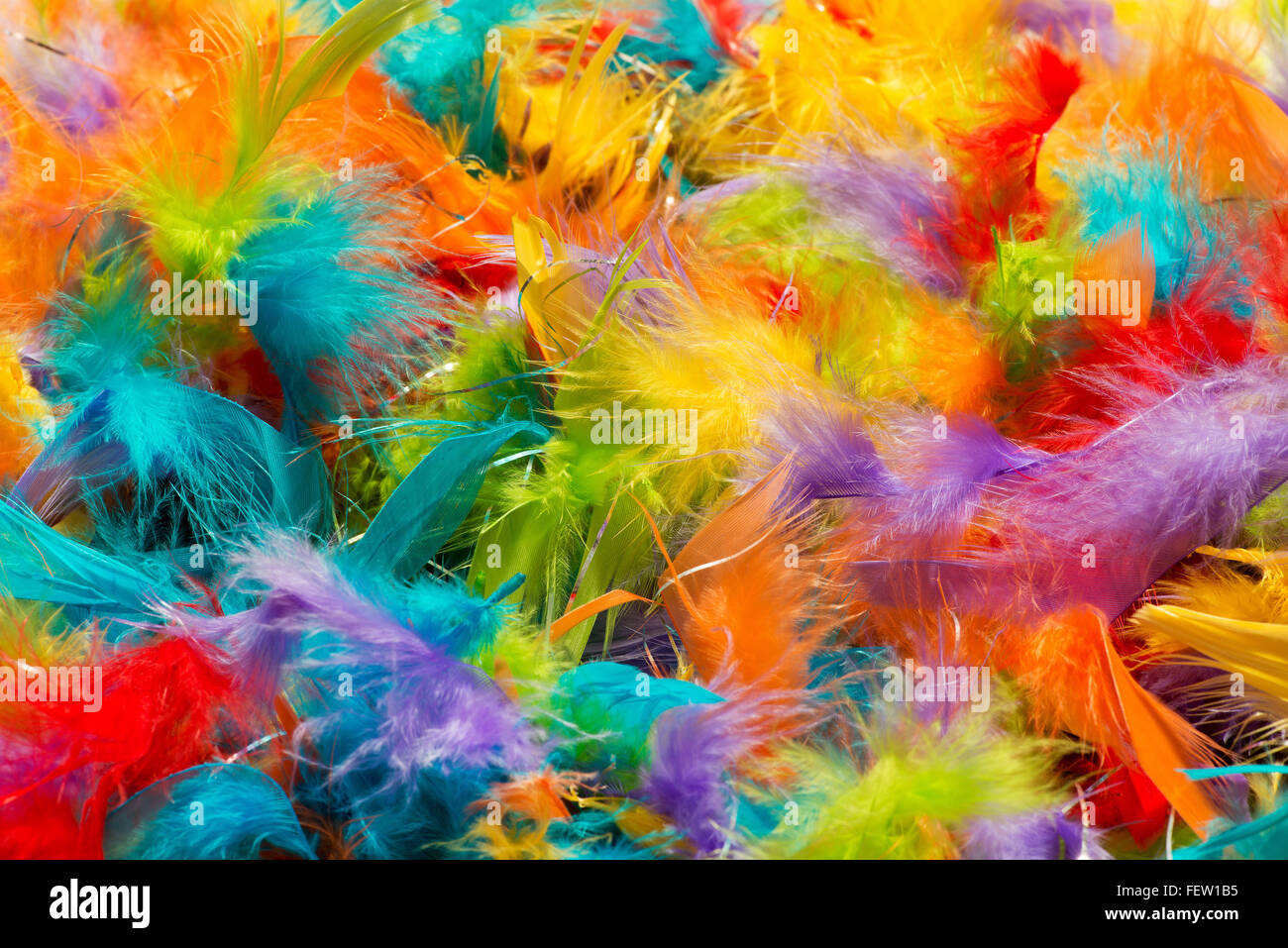 Soft fluffy brightly colored bird feathers background texture in the colors of the rainbow Stock Photo