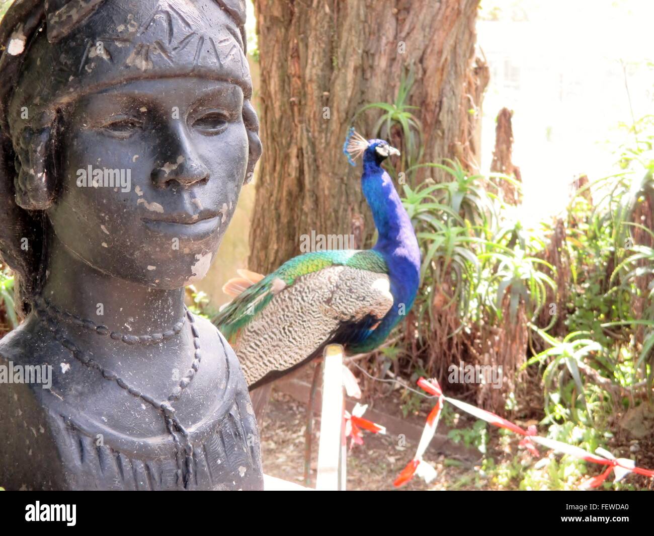 Peacock In Garden, Weathered Sculpture Stock Photo