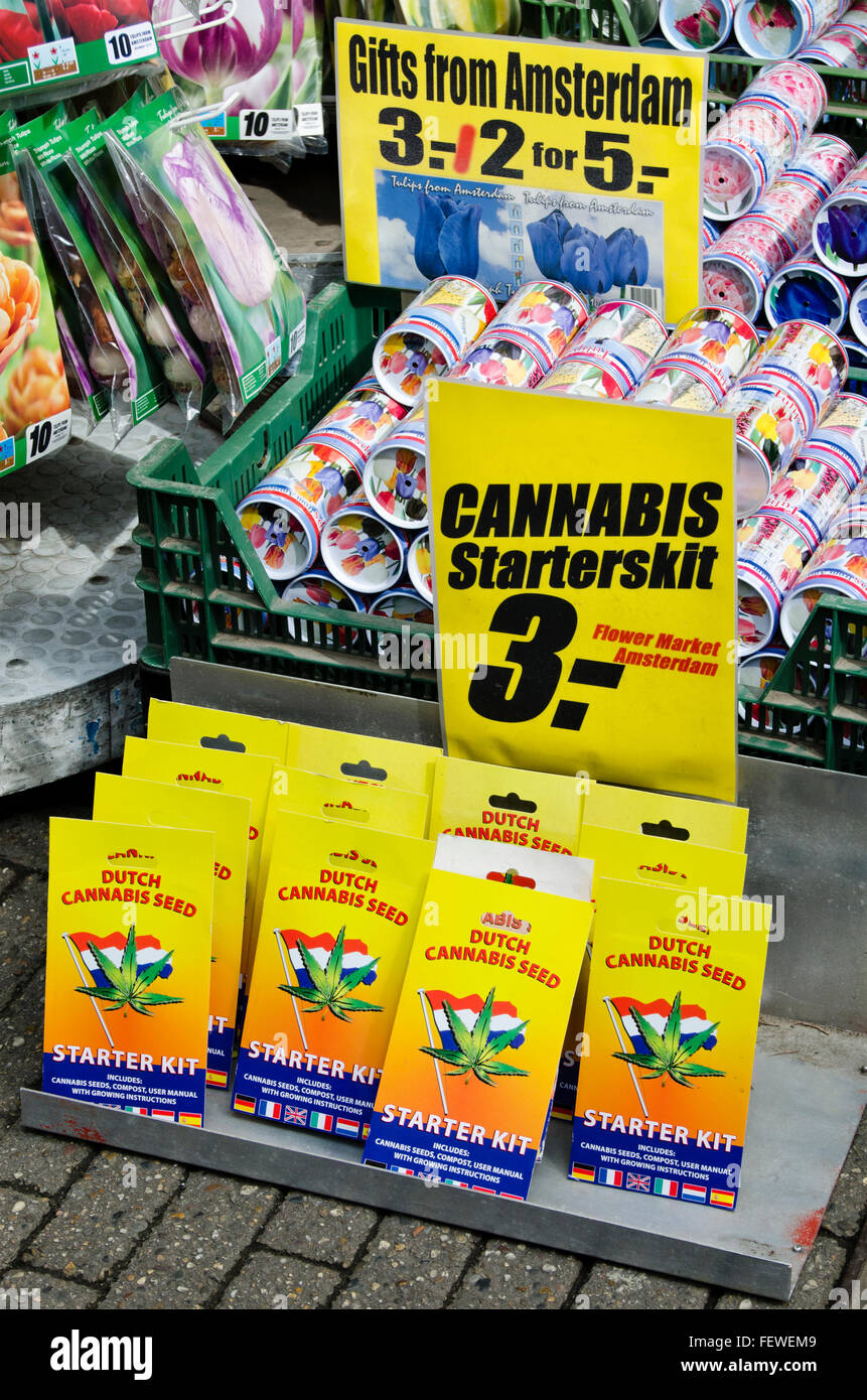 Packages of cannabis seeds and tulip bulbs sold to the floating market