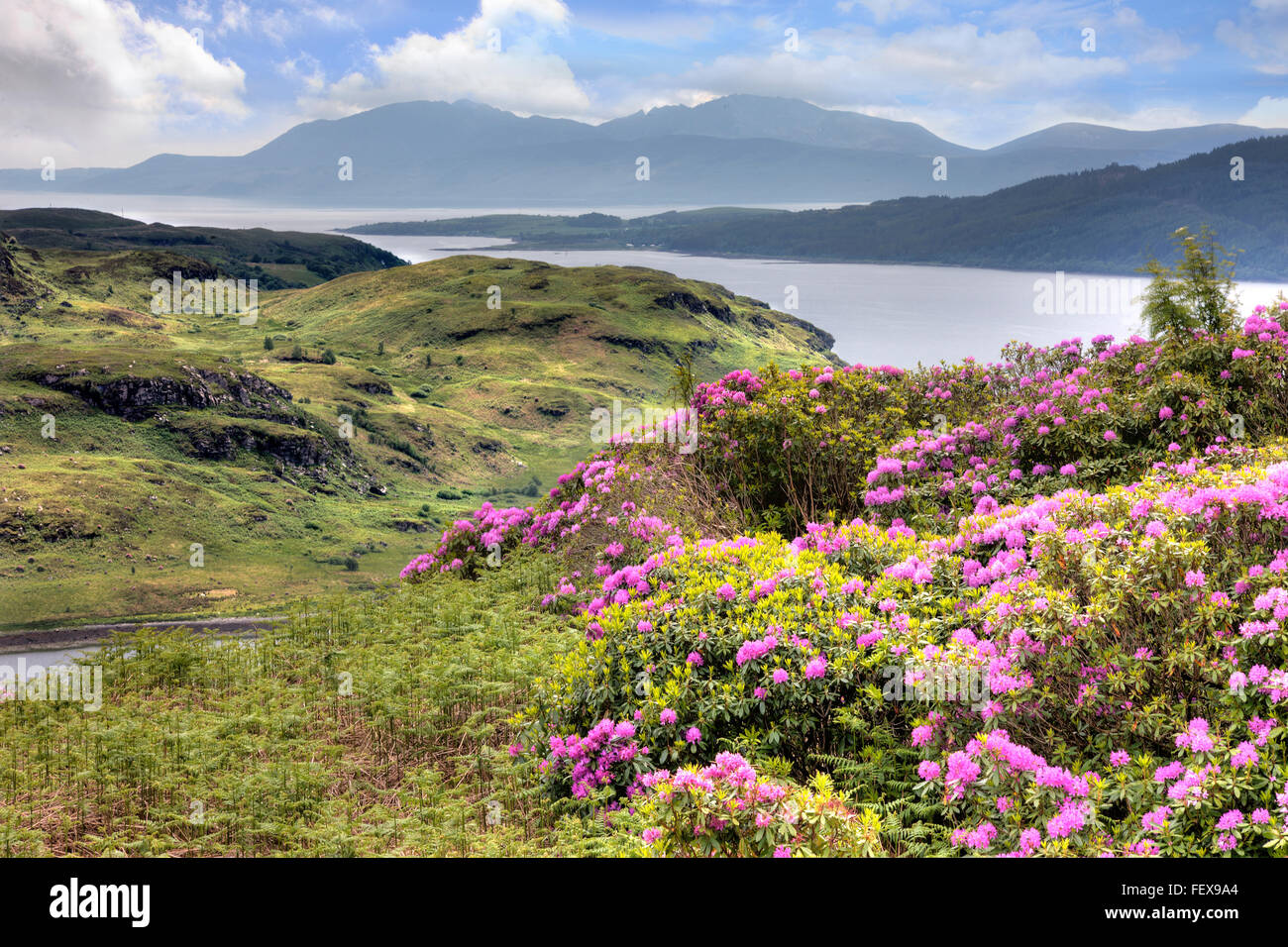 View towards Bute and Arran from above Tignabruaich, Argyl Stock Photo