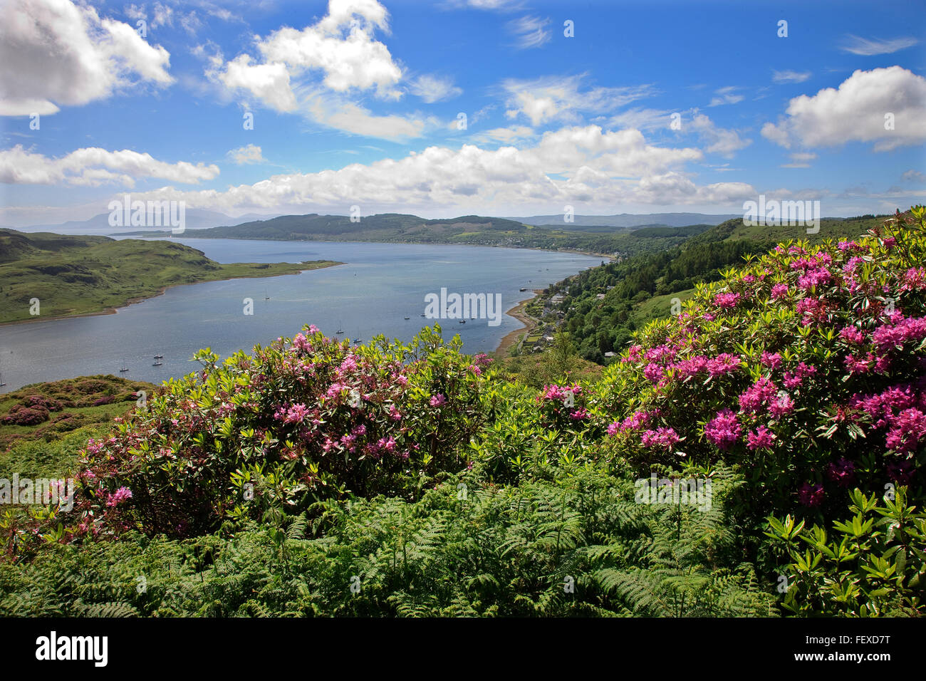 Tignabruaich with Bute and Arran in view, Argyll Stock Photo