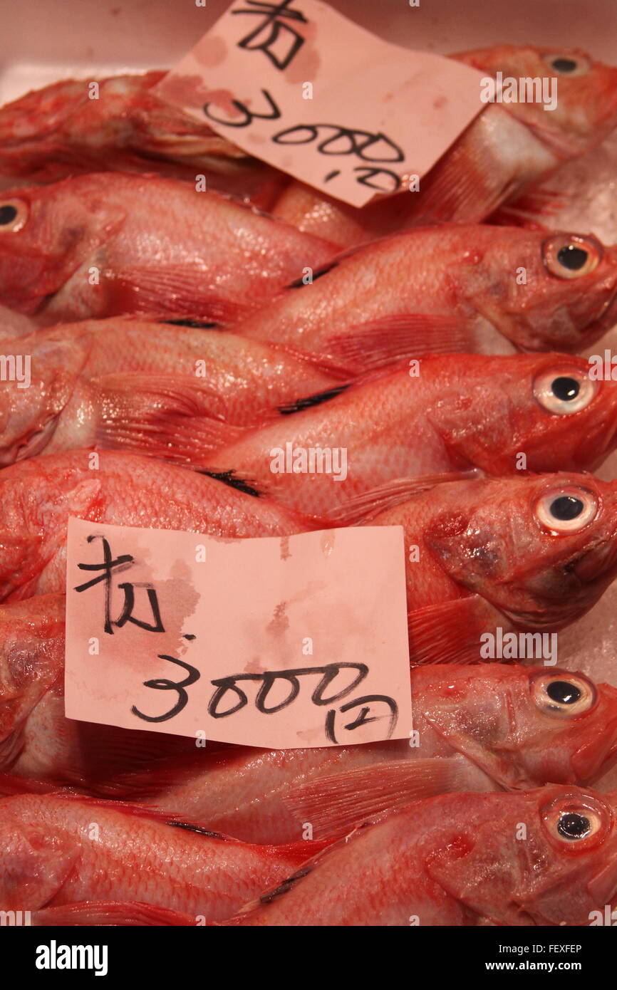 Fish for sale in market hires stock photography and images Alamy