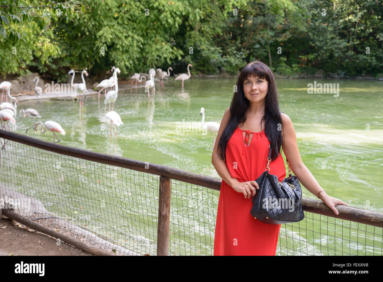 a nice girl posing and smile, in background flamingos in a little lake Stock Photo