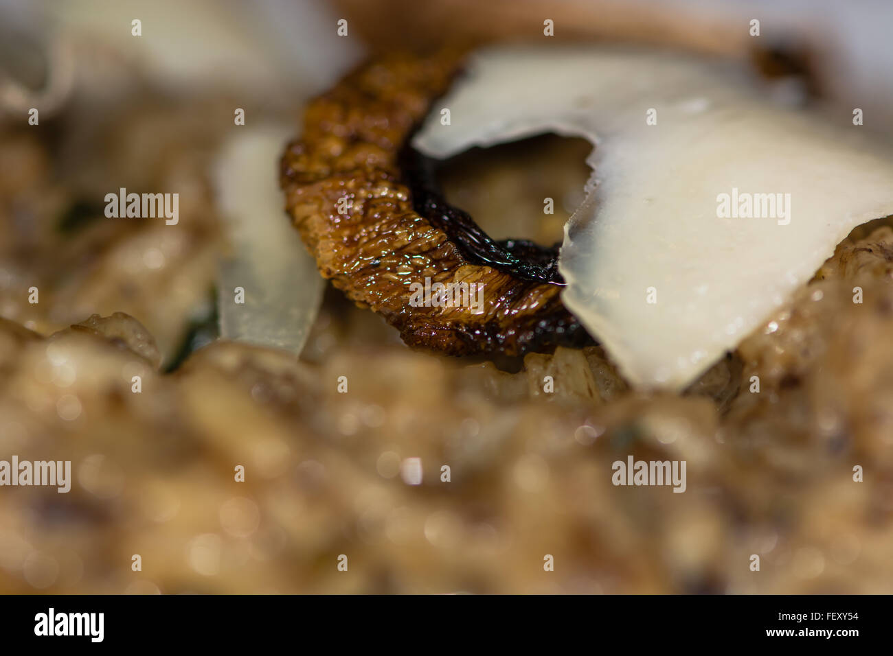 Wild mushroom risotto. Wild mushroom, leek and parmesan risotto: Risotto de Champignon Sauvage Stock Photo