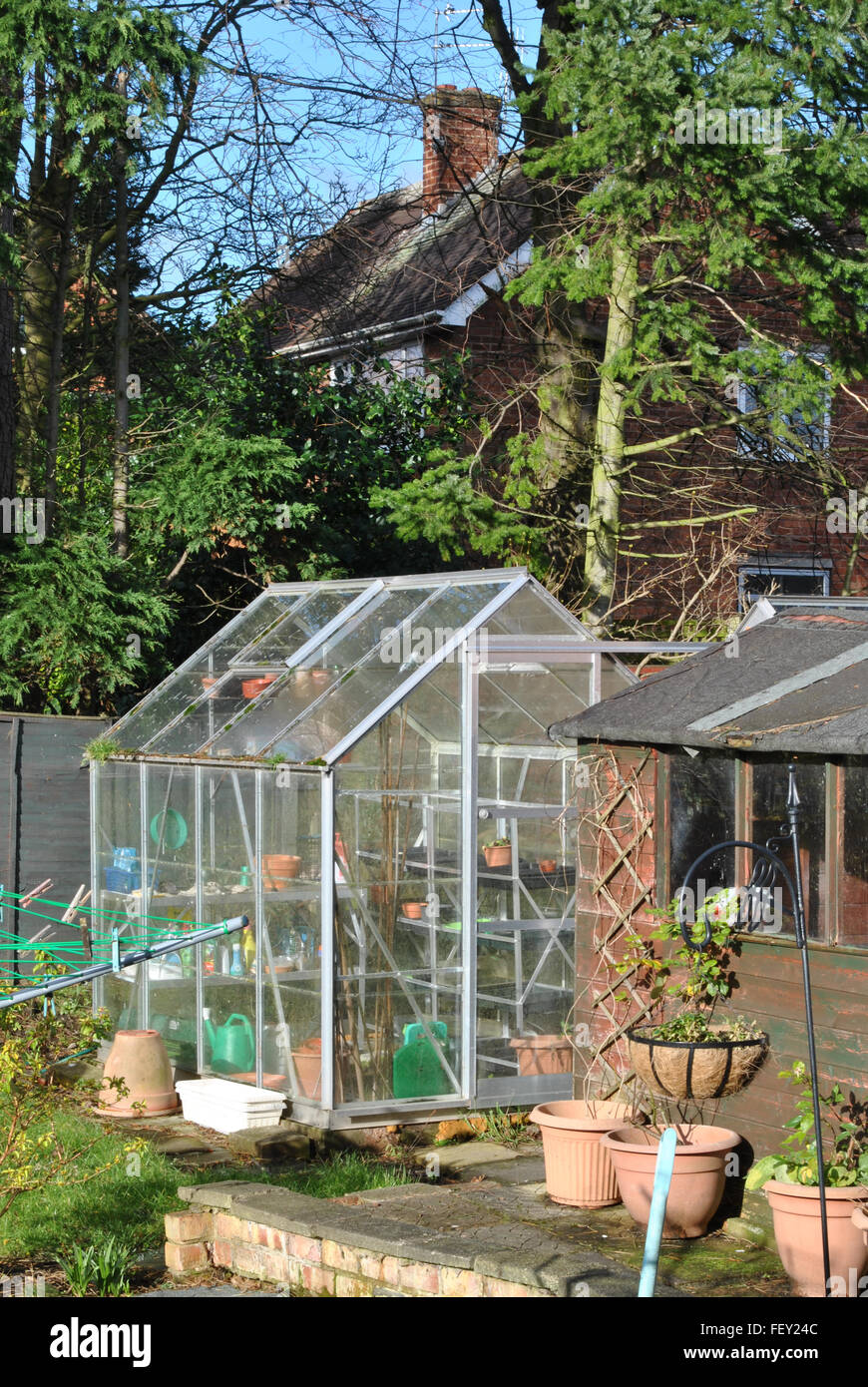 Greenhouse & part of a shed in a sunny British garden Stock Photo Alamy