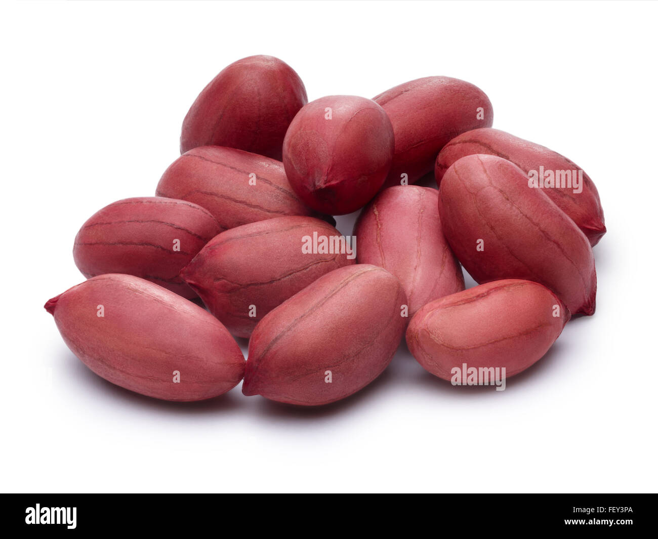 Nut Shell Path Raw shelled peanuts. Infinite DOF, clipping paths for both nuts and its ...