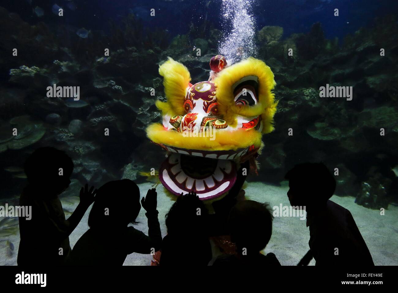 Kuala Lumpur, Malaysia. 9th Feb, 2016.  Children watch as Malaysian divers perform a lion dance under water during Chinese New Year celebrations at Aquaria KLCC in Kuala Lumpur, Malaysia. Chinese around the world celebrate the Chinese New Year, Year of Monkey on 8th of February. Credit:  Kamen/ZUMA Wire/Alamy Live News Stock Photo