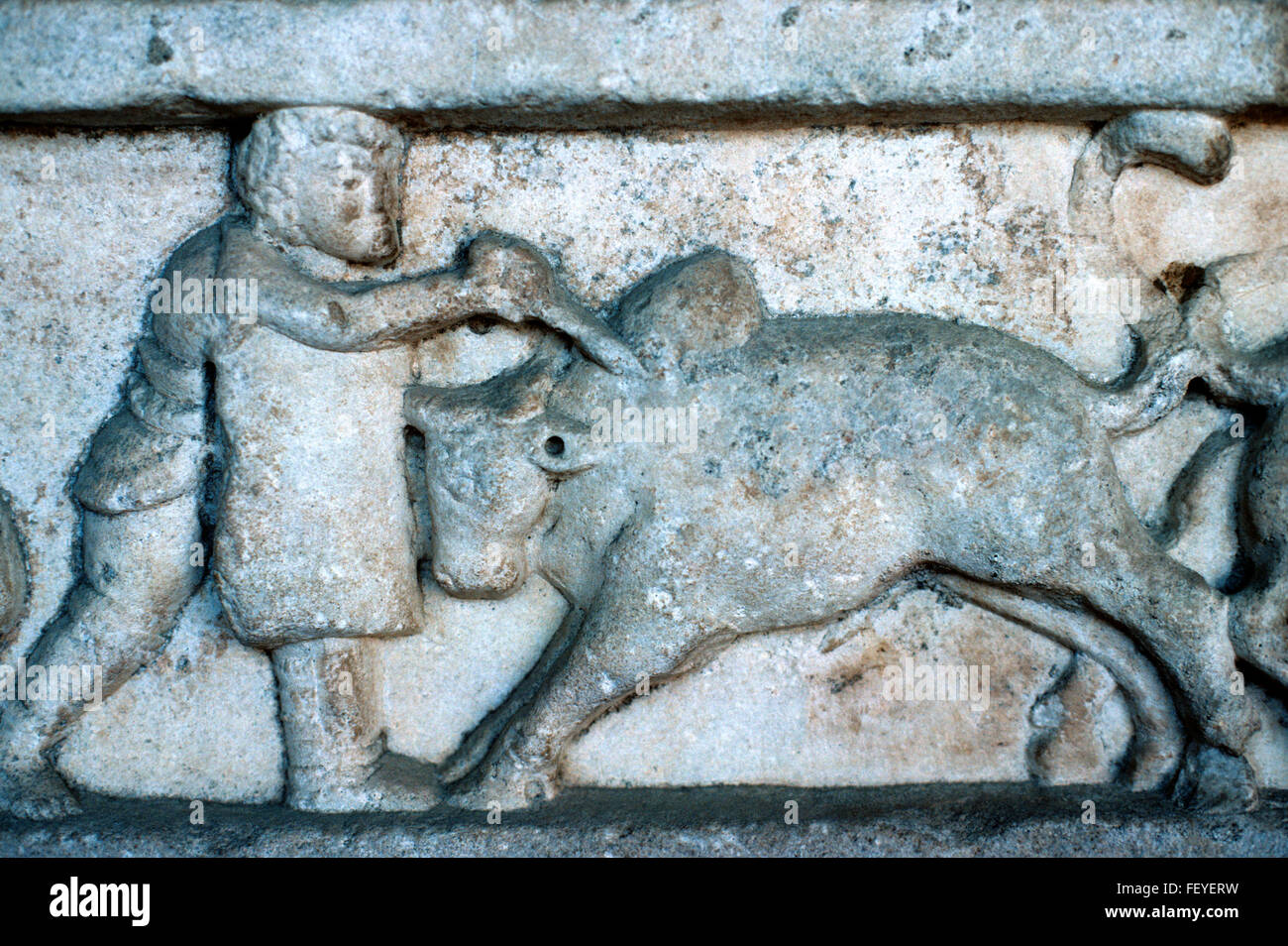 Ancient Greek or Roman Marble Carving or Bas-Relief of a Gladiator Fighting a Bull, Pergamon, Turkey Stock Photo