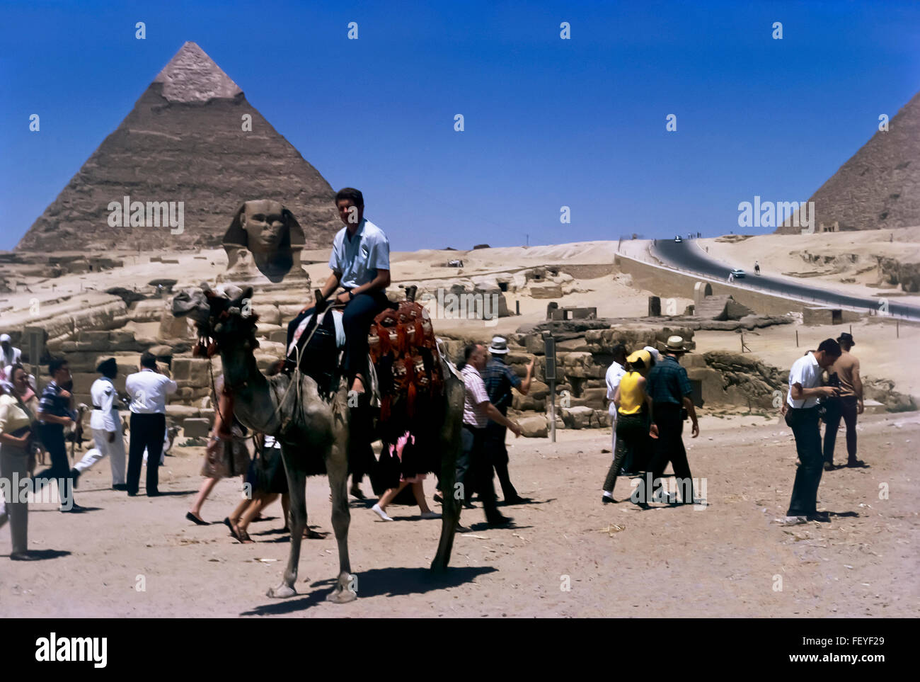AA 6836. Archival 1960s, Great Pyramid of Cheops, Giza, Egypt Stock Photo