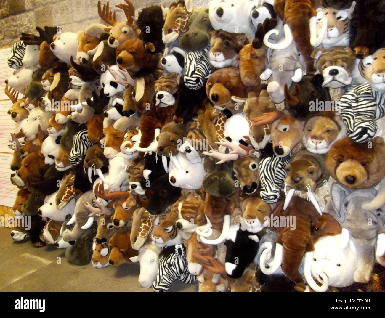 wall of stuffed animals