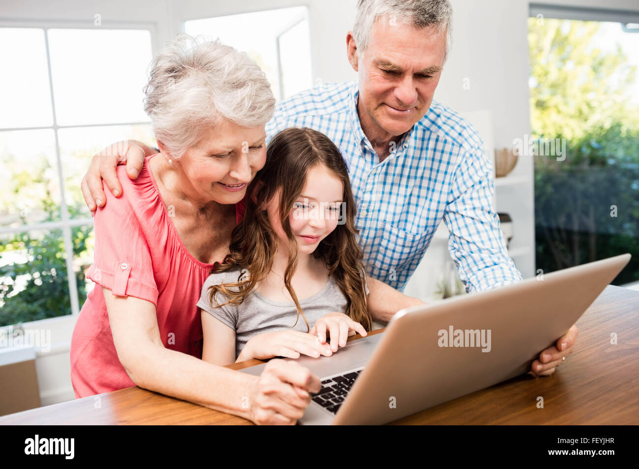Portrait of smiling grandparents and granddaughter using laptop Stock Photo
