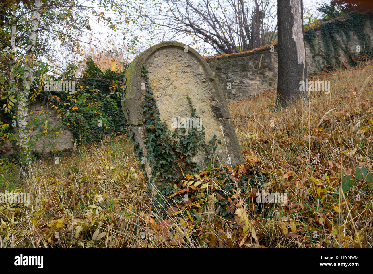 Old gravestone fallen hi res stock photography and images Alamy