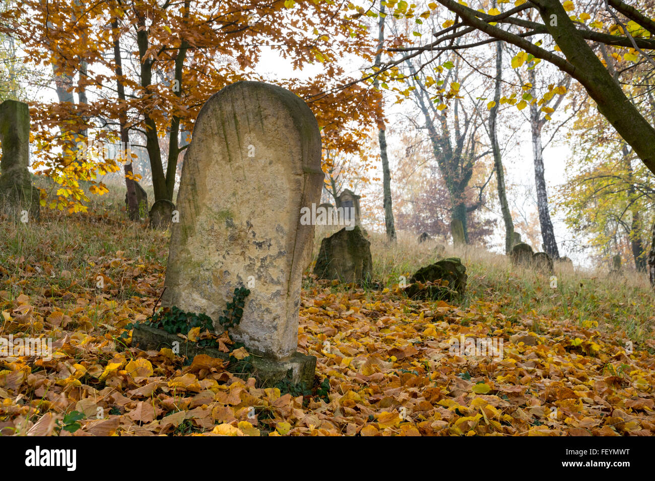 Old gravestone fallen hi res stock photography and images Alamy
