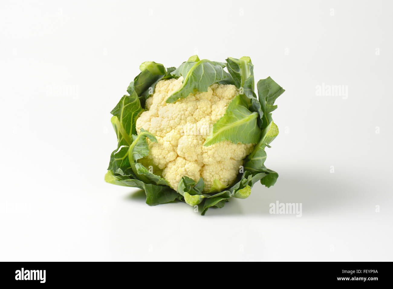 head of fresh cauliflower on white background Stock Photo