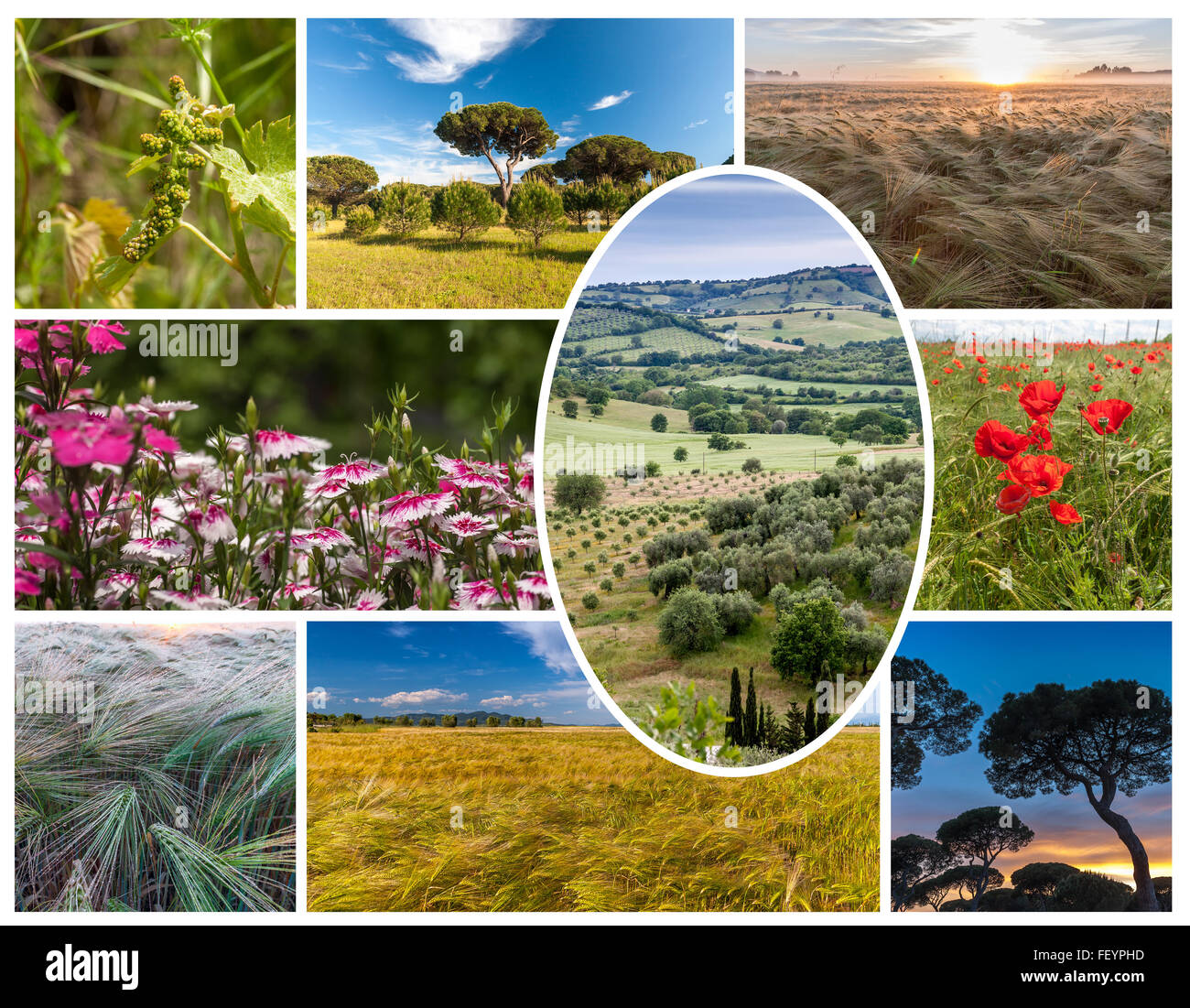 Collage of the hills in Tuscany Stock Photo