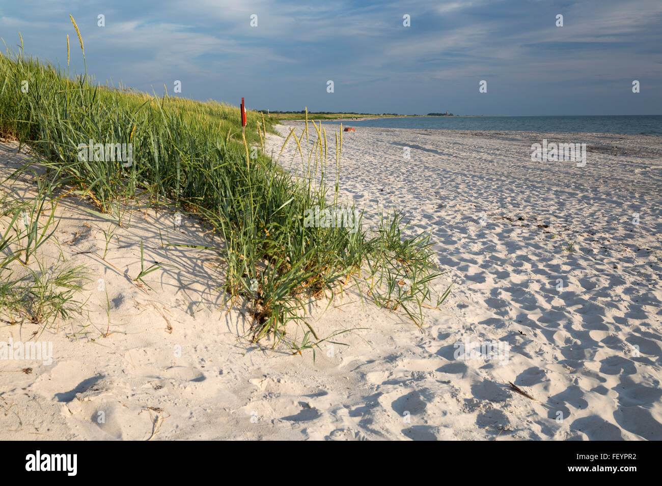 White sand beach and dunes, Skanör Falsterbo, Falsterbo Peninsula, Skåne, South Sweden, Sweden, Scandinavia, Europe Stock Photo