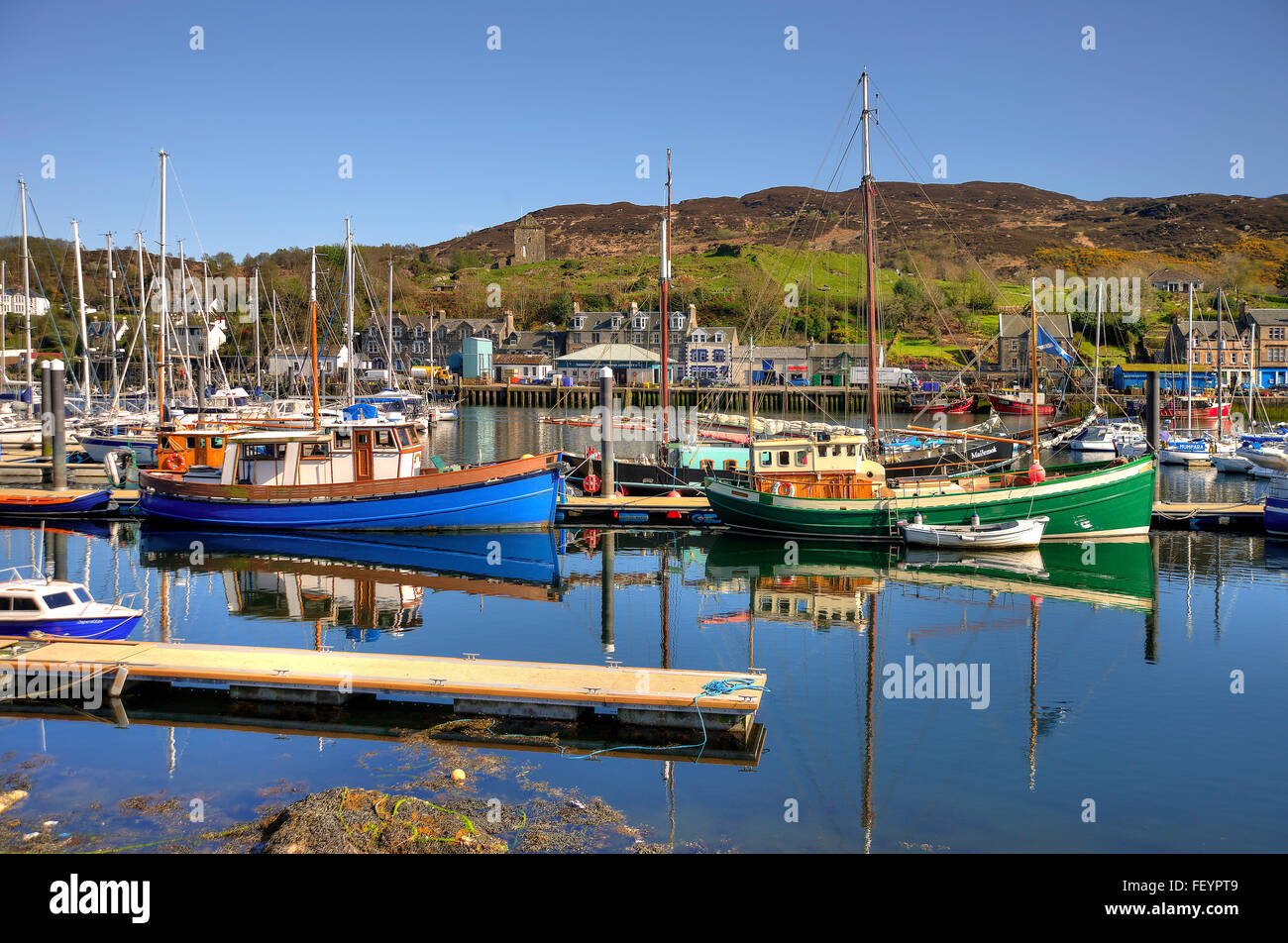 Tarbert harbour, Loch Fyne, Argyll Stock Photo