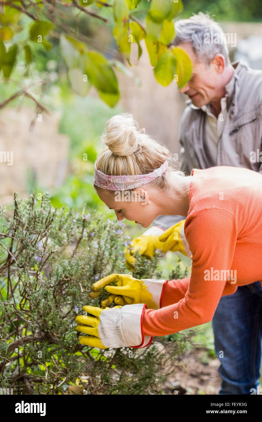 Cute couple picking aromatic herbs Stock Photo