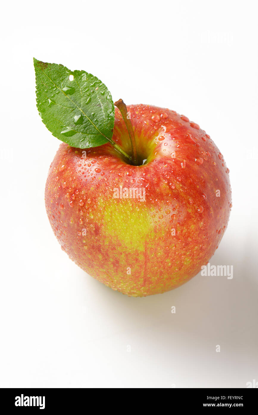 https://c8.alamy.com/comp/FEYRNC/washed-red-apple-on-white-background-FEYRNC.jpg