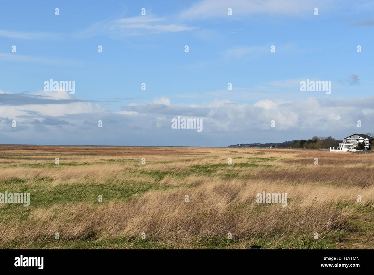 View of the marshes at Parkgate on the Wirral Peninsular with the Boathouse pub/restaurant in the distance. Stock Photo