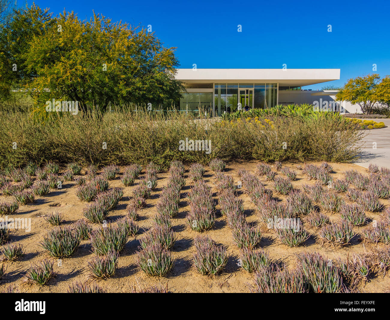 A View Of The Front Of The Sunnylands Center Gardens Visitor