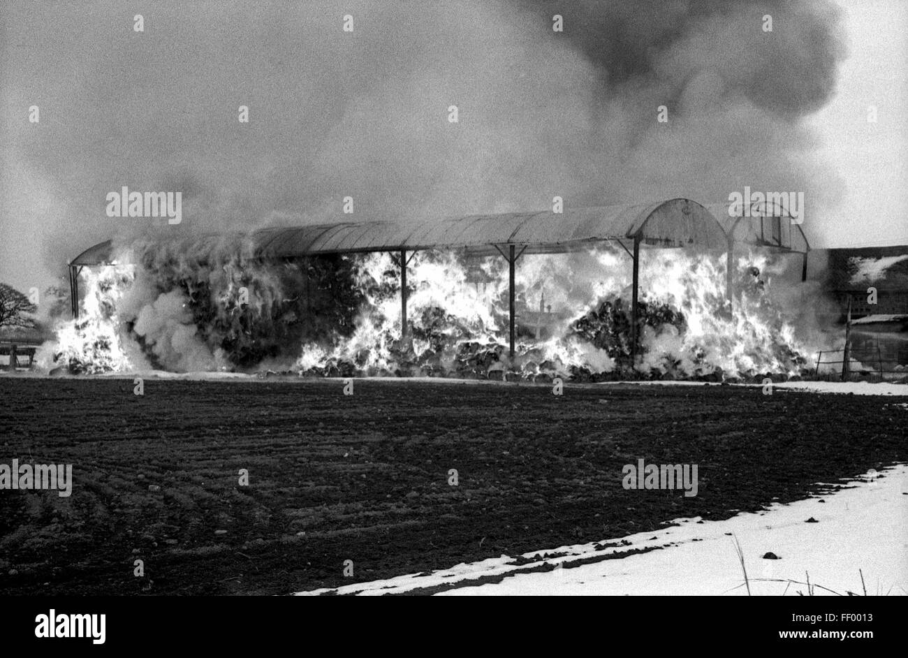 Upton barn fire, Shifnal, Shropshire, March 1965 Stock Photo Alamy