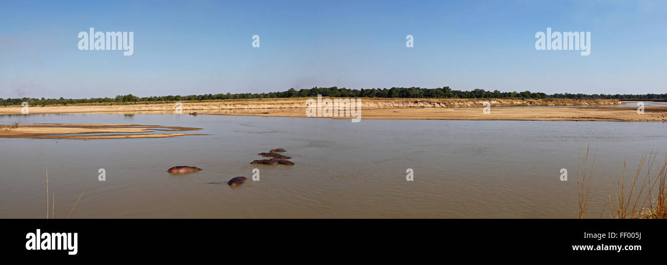 landscape at the Luangwa River, Zambia Stock Photo