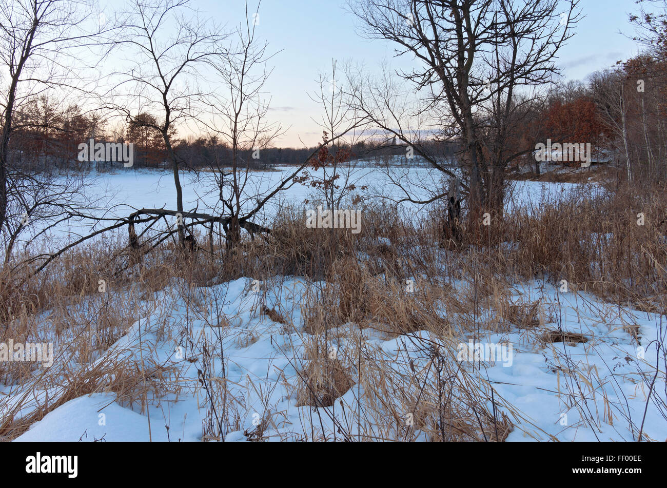 wooded landscape of lebanon hills regional park in eagan minnesota