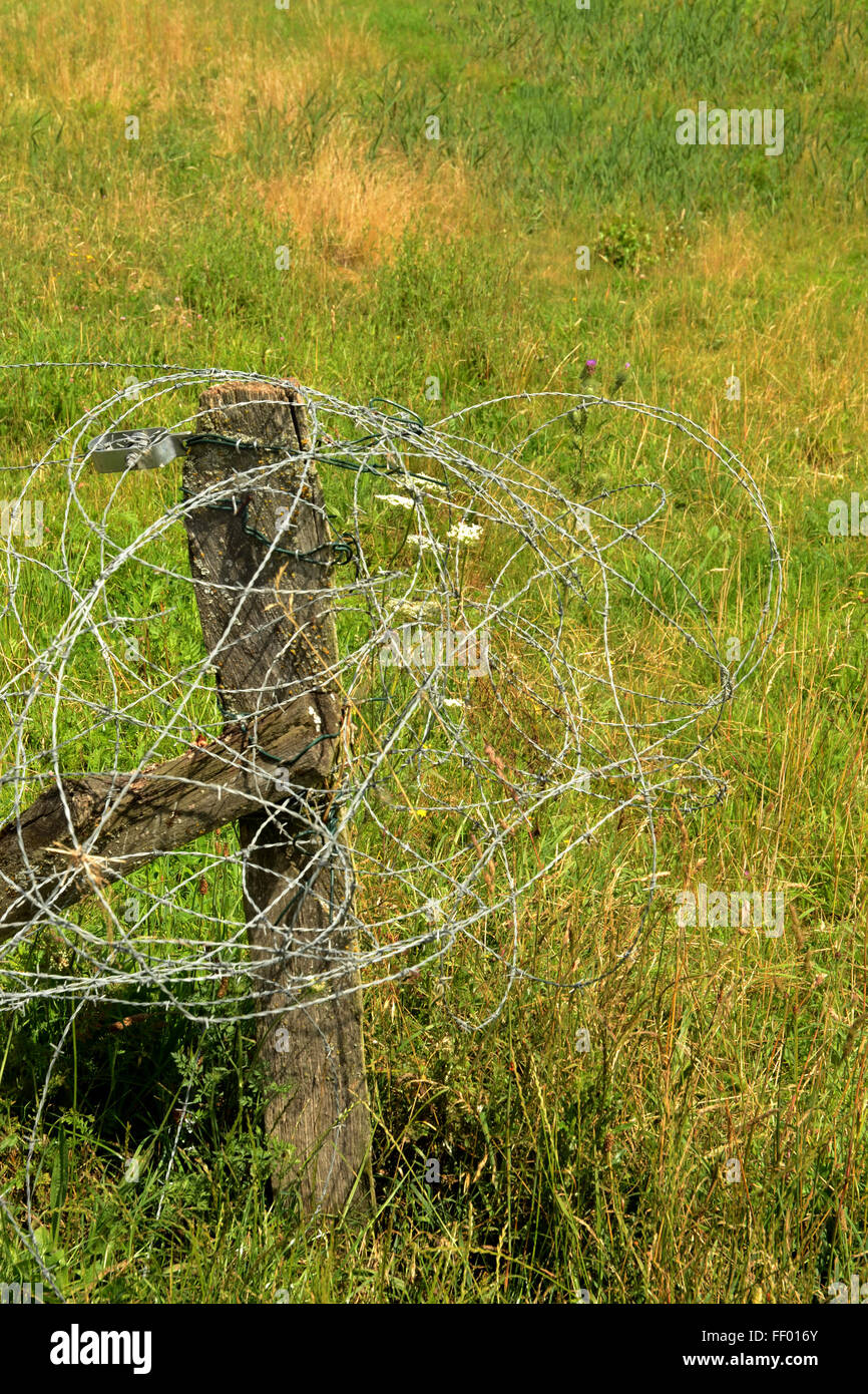 Coils of barbed wire wrapped around wooden fence post. Shot in field in Heerlen, in the Limburg province of the Netherlands. Stock Photo