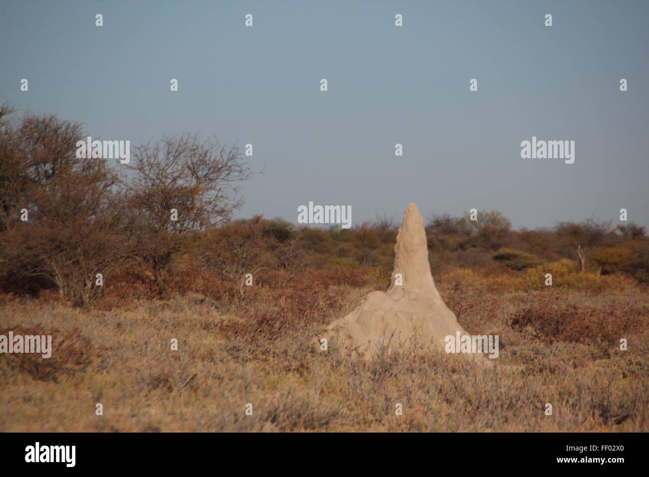 Termite mound in Africa Stock Photo - Alamy
